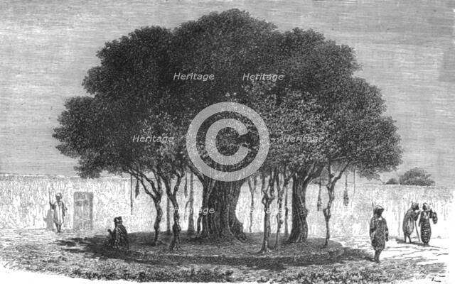 ''Our Camping-ground at Morebougou; Journey from the Senegal to the Niger', 1875. Creator: Unknown.