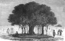 'Our Camping-ground at Morebougou; Journey from the Senegal to the Niger 1875. Creator: Unknown