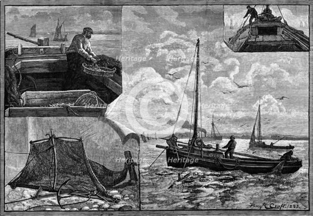 Our Fishing Industries: Whitebait Fishing, 1883. Creator: Unknown.