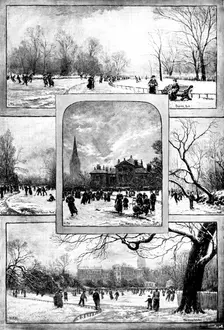Our London Parks in Winter, 1895. Creator: Lascelles