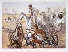 Our Pack of Hounds 1911. Creator: George Francklin Atkinson