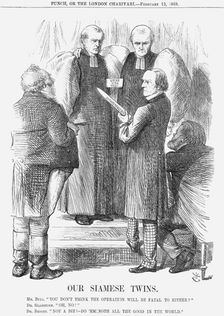 Our Siamese Twins 1869. Artist: John Tenniel