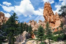 Overlooking. Creator: Robert Manno