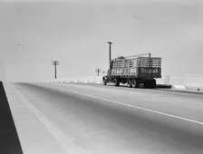 Overpass on U.S. 99, between Tulare and Fresno, California, 1939. Creator: Dorothea Lange