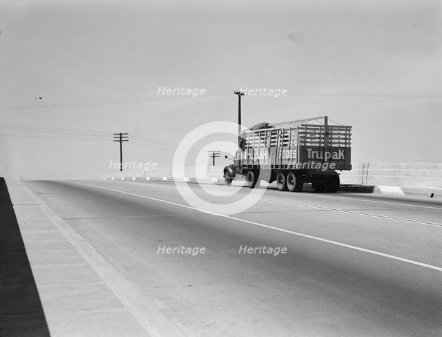 Overpass on U.S. 99, between Tulare and Fresno, California, 1939. Creator: Dorothea Lange.