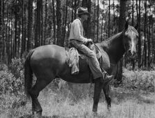 Overseer in the turpentine woods, Georgia, 1937. Creator: Dorothea Lange