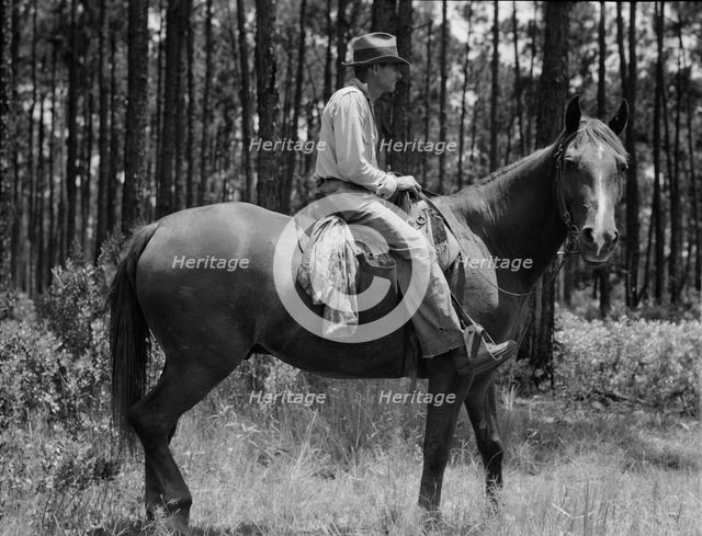 Overseer in the turpentine woods, Georgia, 1937. Creator: Dorothea Lange.