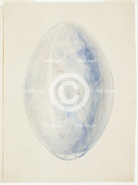 Overview of Oval Shell Stone, n.d. Creator: Giuseppe Grisoni.