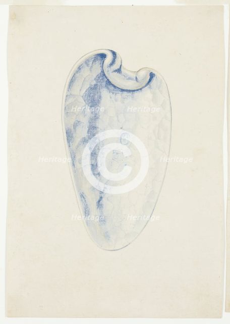 Overview of Lavender Elongated Shell, n.d. Creator: Giuseppe Grisoni.