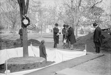 Owen, F.D. Public Buildings And Grounds Custodian of The Flags, Left, Planting Tree, Presid..., 1913 Creator: Harris & Ewing