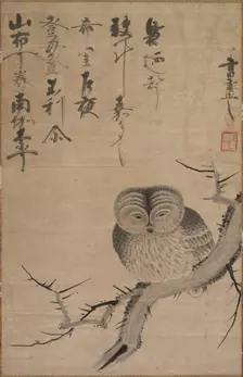 Owl, 1630-1640. Creator: Bensaku Tsuda (Japanese)