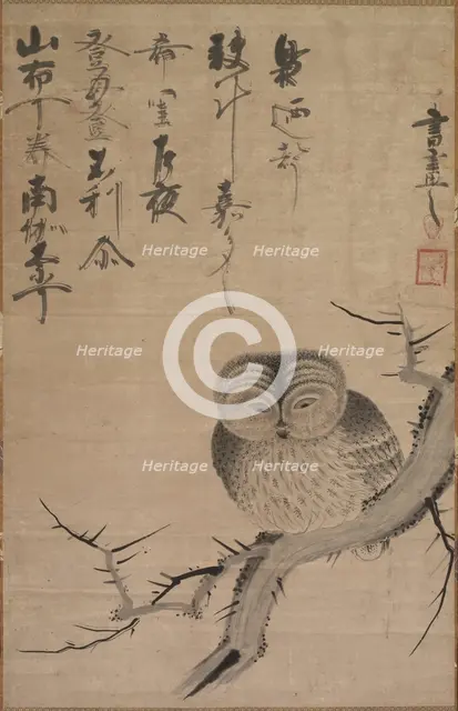 Owl, 1630-1640. Creator: Bensaku Tsuda (Japanese).