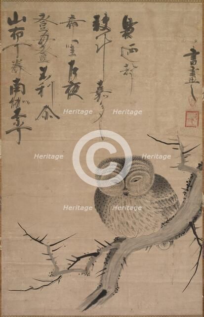 Owl, 1630-1640. Creator: Bensaku Tsuda (Japanese).