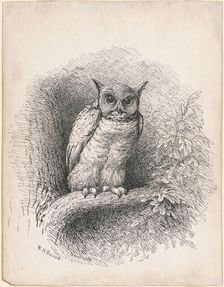 Owl, 1889. Creator: William Holbrook Beard
