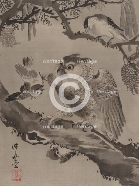 Owl Mocked by Small Birds, ca. 1887. Creator: Kawanabe Kyosai.
