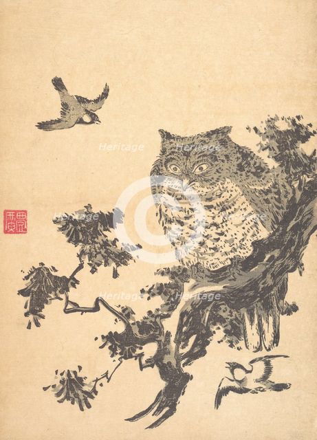 Owl and Two Swallows. Creator: Utagawa Toyohiro.