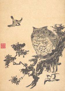 Owl and Two Swallows. Creator: Utagawa Toyohiro