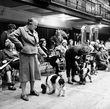 Owners parading their dogs at a London dog show, possibly Crufts, 1964. Creator: Henry Grant