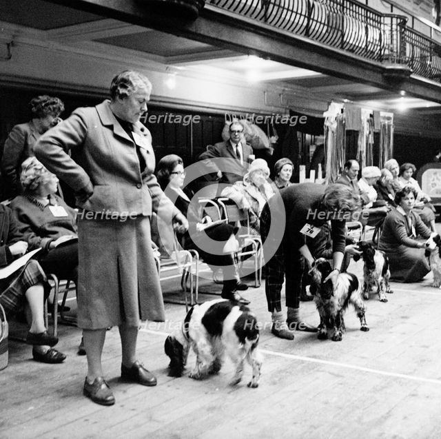 Owners parading their dogs at a London dog show, possibly Crufts, 1964. Creator: Henry Grant.