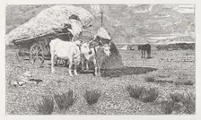 Oxen Yoked to the Cart (Maremma) [Bovi al carro (Maremma)], 1886/1887. Creator: Giovanni Fattori