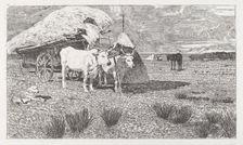 Oxen Yoked to the Cart (Maremma) [Bovi al carro (Maremma)], 1886/1887. Creator: Giovanni Fattori
