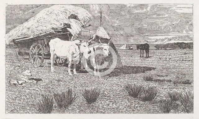 Oxen Yoked to the Cart (Maremma) [Bovi al carro (Maremma)], 1886/1887. Creator: Giovanni Fattori.