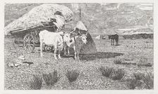 Oxen Yoked to the Cart (Maremma) [Bovi al carro (Maremma)], 1886/1887. Creator: Giovanni Fattori