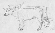 Oxen and cart, 12th century, (c1950). Creator: Shirley Markham