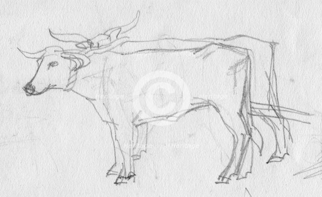 Oxen and cart, 12th century, (c1950).  Creator: Shirley Markham.