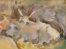 Oxen at Siena c1910, (1936). Creator: John Singer Sargent