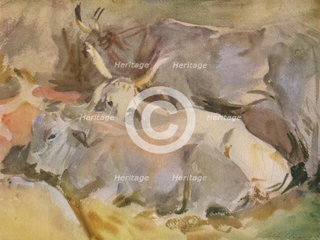 'Oxen at Siena', c1910, (1936). Creator: John Singer Sargent.