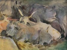 Oxen at Siena c1910. Artist: John Singer Sargent