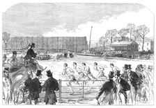 Oxford and Cambridge athletic sports at West Brompton: the one-mile race, 1869. Creator: Unknown