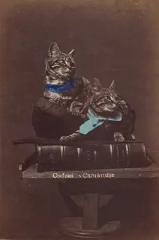 Oxford & Cambridge, about 1865. Creator: Henry Pointer