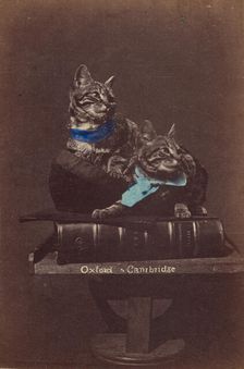 Oxford & Cambridge, about 1865. Creator: Henry Pointer