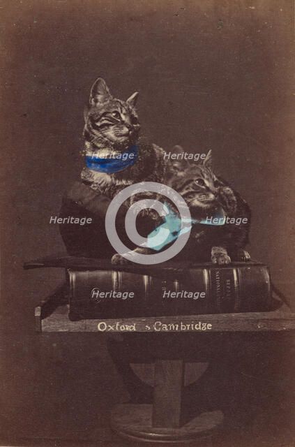 Oxford & Cambridge, about 1865. Creator: Henry Pointer.