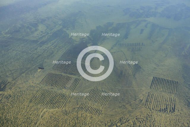 Oyster beds in Whitstable Bay, Kent, 2024. Creator: Damian Grady.