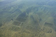 Oyster beds in Whitstable Bay, Kent, 2024. Creator: Damian Grady