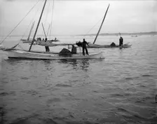 Oyster dredging, between 1900 and 1910. Creator: Unknown