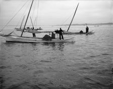Oyster dredging, between 1900 and 1910. Creator: Unknown