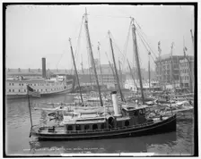 Oyster luggers at the docks, Baltimore, Md., c1905. Creator: Unknown