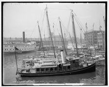 Oyster luggers at the docks, Baltimore, Md., c1905. Creator: Unknown