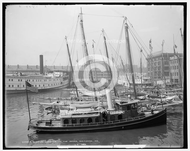Oyster luggers at the docks, Baltimore, Md., c1905. Creator: Unknown.