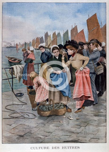 Oyster seller, 1902. Artist: Unknown
