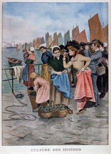 Oyster seller, 1902