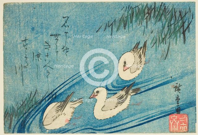 Oystercatchers, c. 1833/34. Creator: Ando Hiroshige.