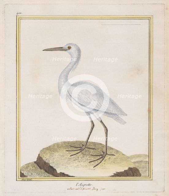 L'Aigrette (Egret), 1770-86. Creator: François Nicolas Martinet.
