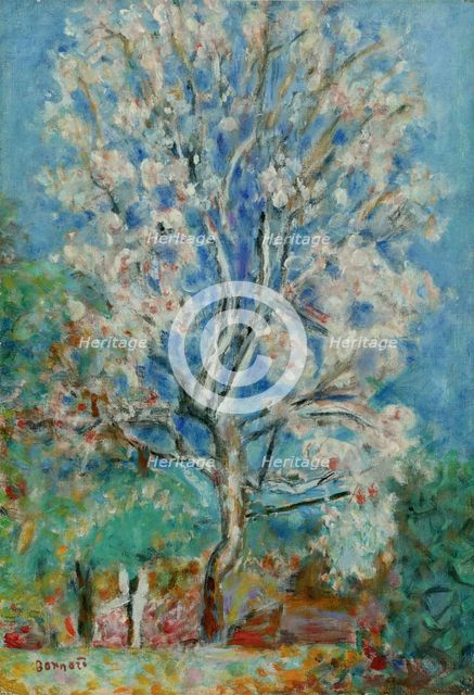 L'amandier en fleurs (Almond tree in bloom, c1930. Creator: Pierre Bonnard.