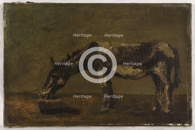 L'âne, between 1862 and 1863. Creator: Gustave Courbet.