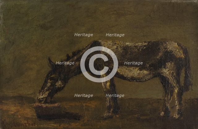L'âne, between 1862 and 1863. Creator: Gustave Courbet.